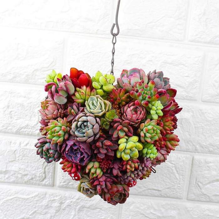 Hanging Succulent Planter - CozyWhims 