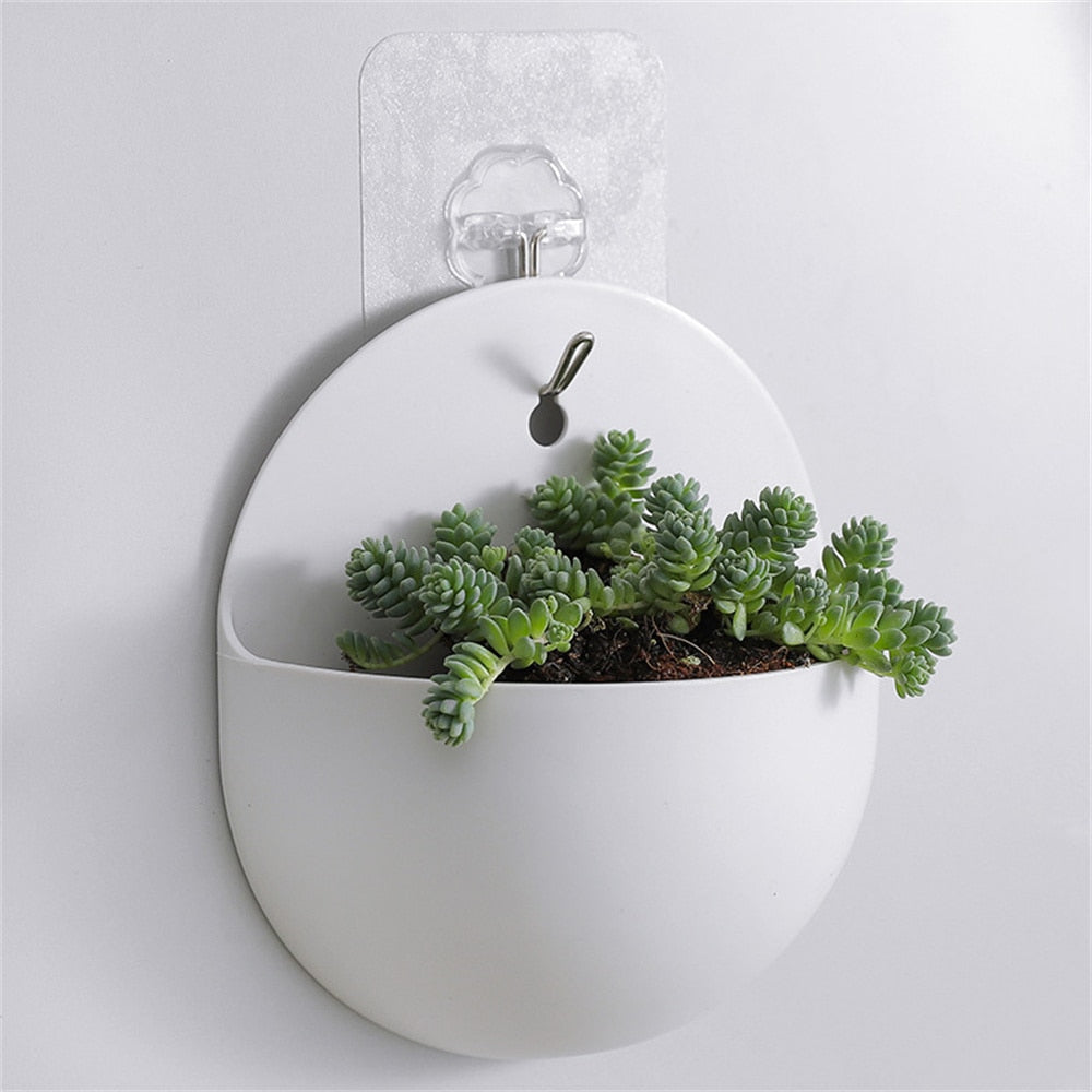 Hanging Flower pot - CozyWhims 